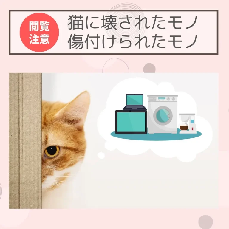 猫に壊されたモノ・傷付けられたモノ！これから猫飼いする方は閲覧注意！