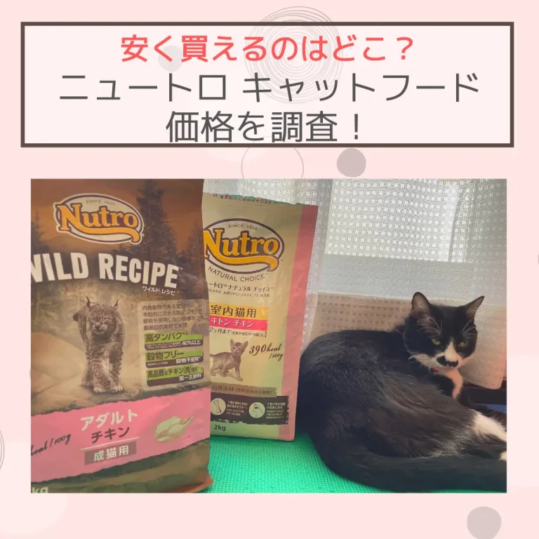 ニュートロのキャットフードの価格を調査！最安値で購入できるのはどこ？