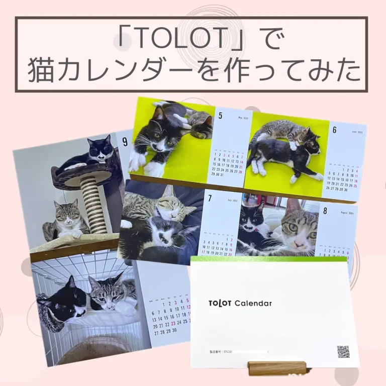 愛猫カレンダーがTOLOT(トロット)で500円？！2023年版卓上カレンダーを愛猫の写真で作ってみた！