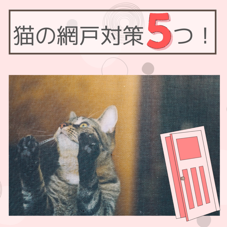 【猫の網戸対策5つ】破る・いたずら・脱走防止にできること！