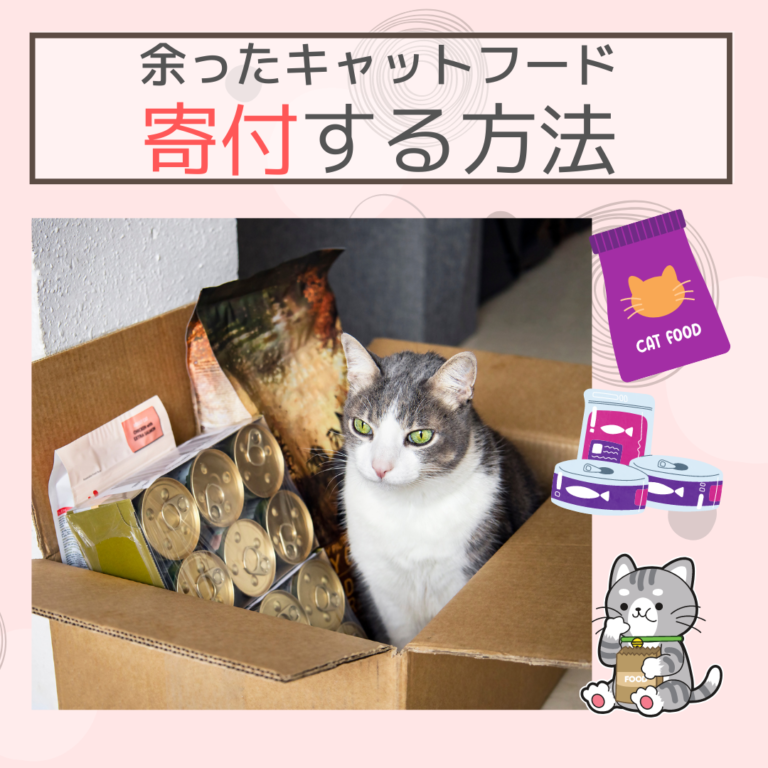余ったキャットフードを寄付する方法｜寄付のルールや方法を解説