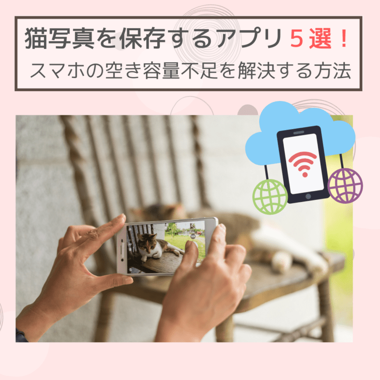 猫写真を保存できるアプリ５選！スマホの空き容量不足を解決して大切な猫写真を保存する方法