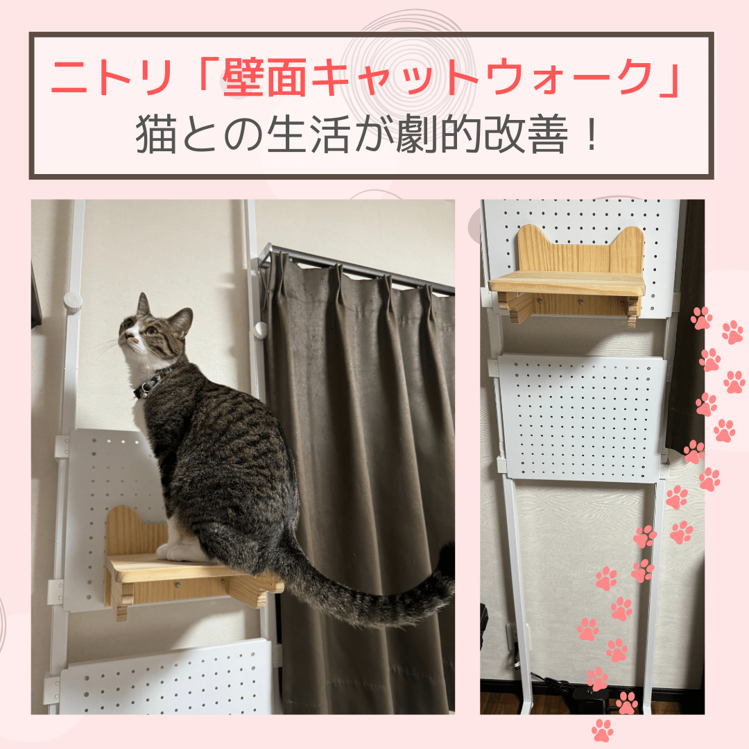 ニトリ　キャットウォーク 楽天市場】壁面キャットウォーク【玄関先迄納品】 : ニトリ