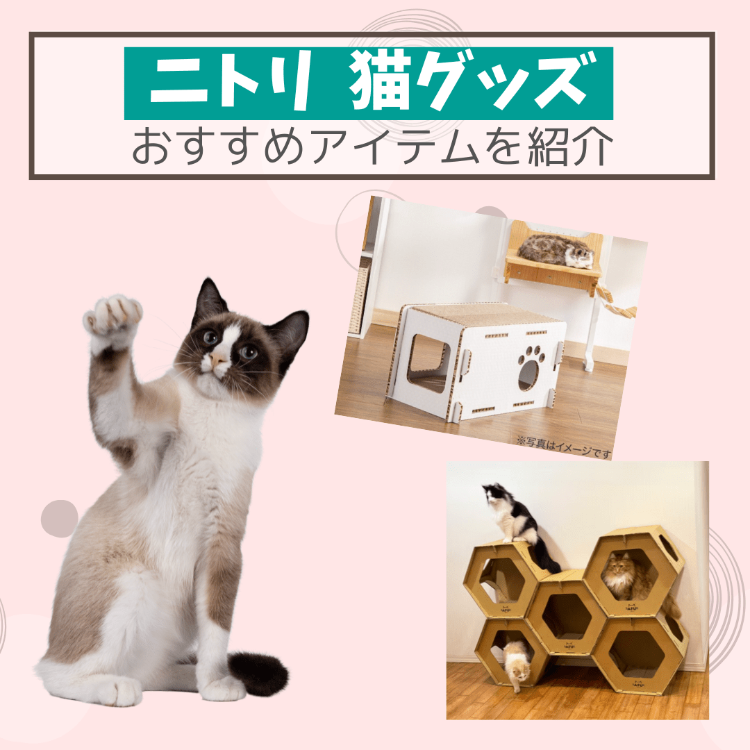 （銀魂猫※雪国love）ローチェスト/ニトリ ニトリ ローチェスト」の人気商品一覧 | 安い商品を通販サイト